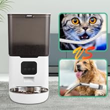 Comedero automático para gatos 