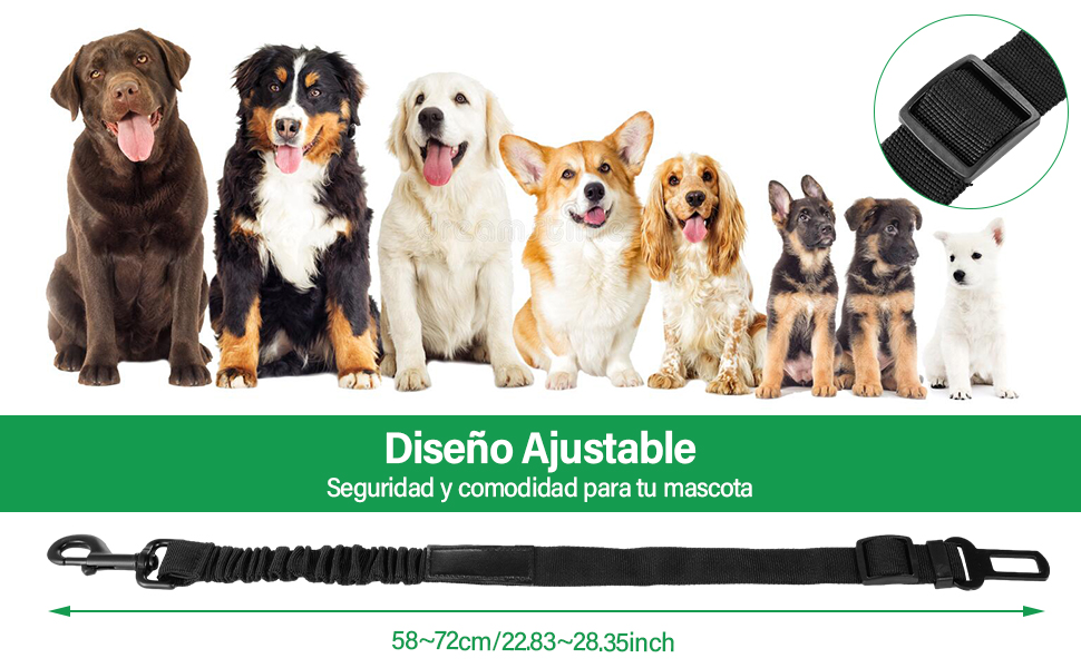 Diseño ajustable