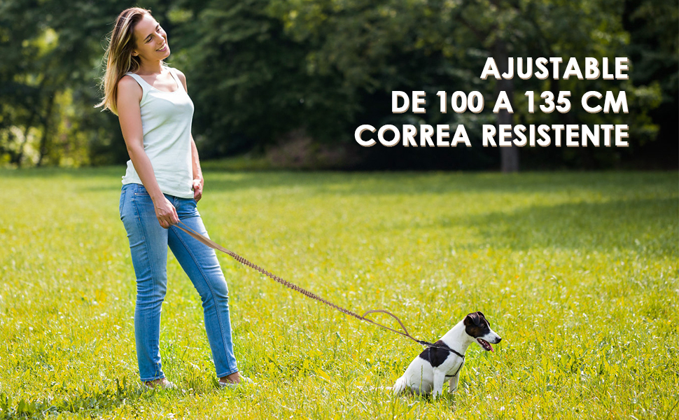 Correa de Perro Extensible