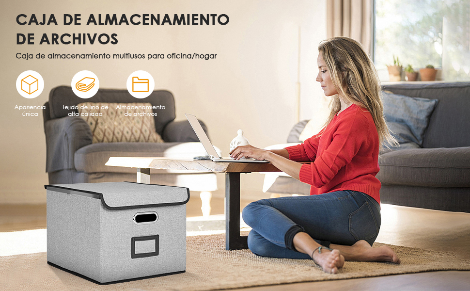 TECHVIDA Caja de Almacenamiento de Archivos con Tapa