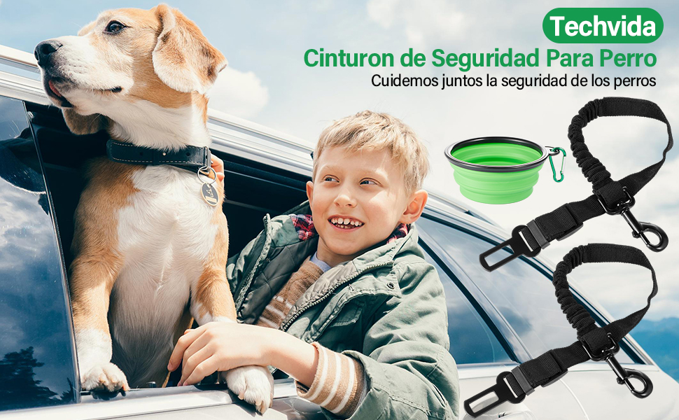 CINTURON DE SEGURIDAD PARA PERRO