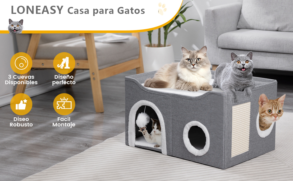 casa para gato