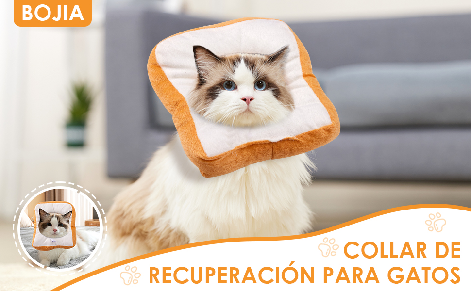 Collar de Recuperación para Gatos