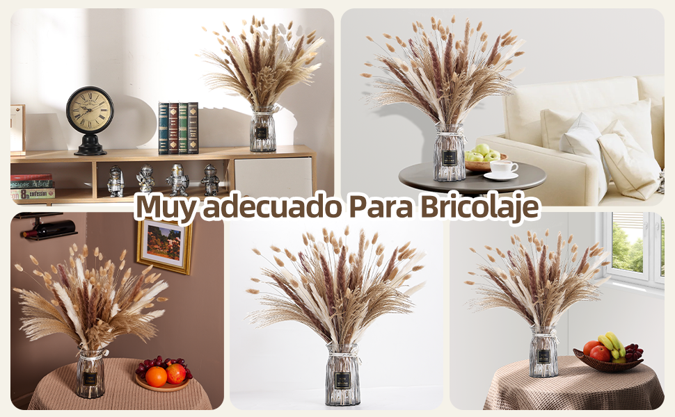 Pampas Decorativas